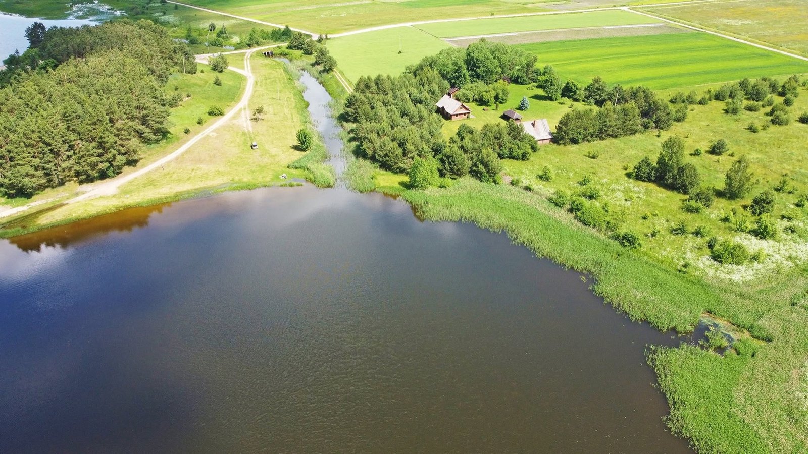 Žaslių sodyba ir Limino ežero pakrantė iš oro